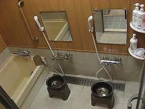 Fujiya Ryokan Kyoto 3*,